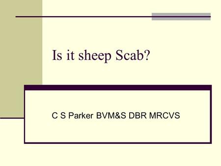 Is it sheep Scab? C S Parker BVM&S DBR MRCVS. Sheep scab 