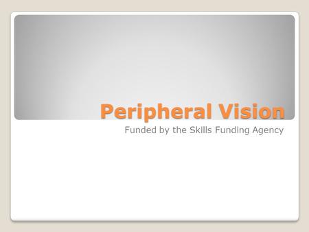 Peripheral Vision Funded by the Skills Funding Agency.