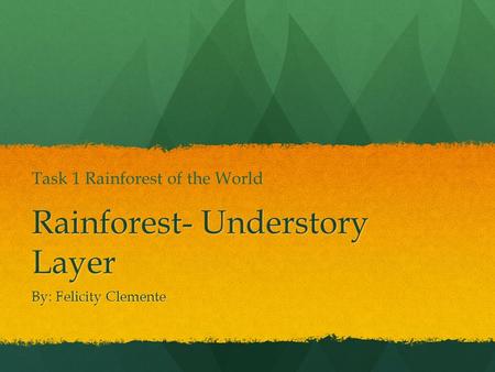 Rainforest- Understory Layer By: Felicity Clemente Task 1 Rainforest of the World.