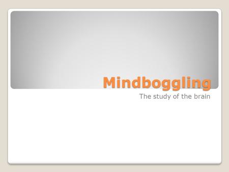 Mindboggling The study of the brain. Neuroscience The study of the brain and the nervous system.