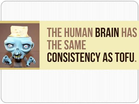 Nervous System Purpose: Controls thoughts and voluntary/involuntary movements Central Nervous System: Brain and Spinal Cord Peripheral Nervous System: