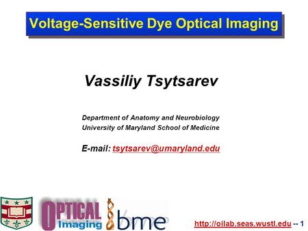 -- 1 Voltage-Sensitive Dye Optical Imaging Vassiliy Tsytsarev Department of Anatomy and Neurobiology.