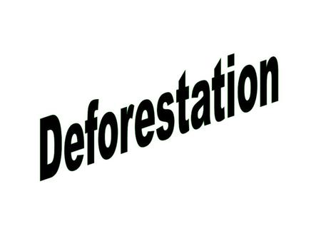 Facts Rainforests once covered 14% of the earth’s land surface… NOW they cover 6% and could be consumed in less than 40 years!