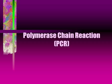 Polymerase Chain Reaction (PCR)