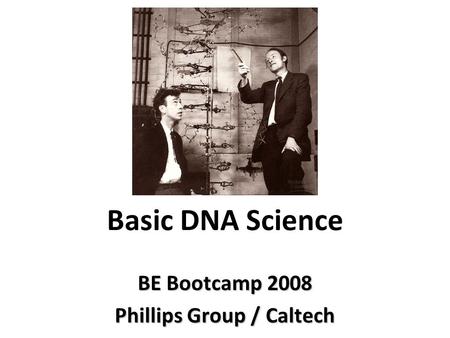 Basic DNA Science BE Bootcamp 2008 Phillips Group / Caltech.