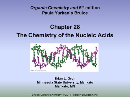 Organic Chemistry and 6 th edition Paula Yurkanis Bruice Chapter 28 The Chemistry of the Nucleic Acids Brian L. Groh Minnesota State University, Mankato.