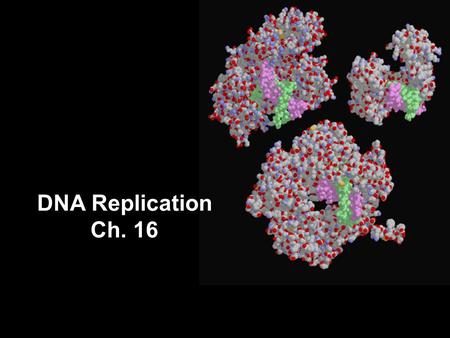 DNA Replication Ch. 16 Watson and Crick 1953 article in Nature.