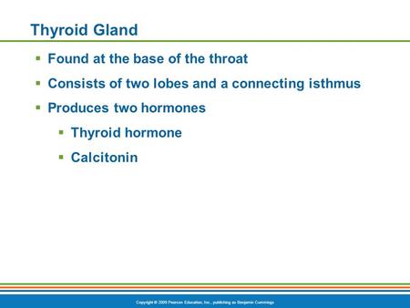 Copyright © 2009 Pearson Education, Inc., publishing as Benjamin Cummings Thyroid Gland  Found at the base of the throat  Consists of two lobes and a.