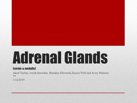 Adrenal Glands (cortex & medulla) Aksel Taylan, Josiah Snowden, Brandon Ellsworth, Kassie Wolf and Avery Palermo 7 th 1/12/2015.