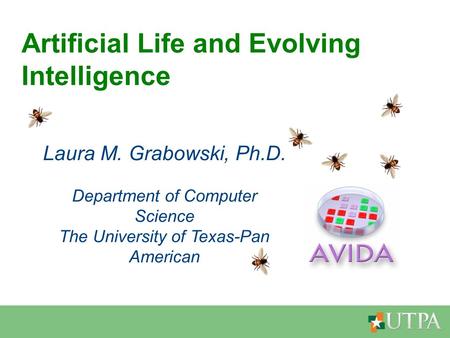 Artificial Life and Evolving Intelligence Laura M. Grabowski, Ph.D. Department of Computer Science The University of Texas-Pan American.