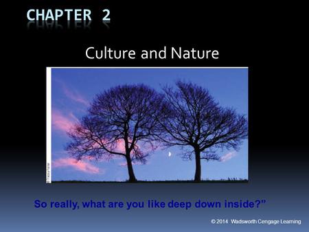 © 2014 Wadsworth Cengage Learning Culture and Nature So really, what are you like deep down inside?”