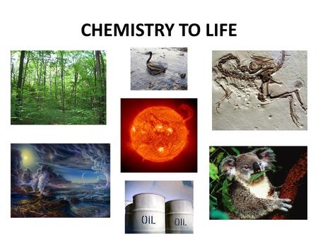 CHEMISTRY TO LIFE. Producers Another name for producers? AUTOTROPHS!