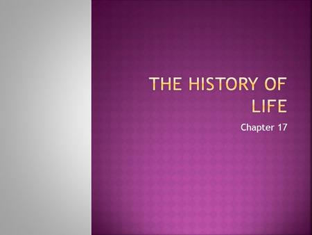 Chapter 17. 1. Paleontologists- scientists who collect and study fossils 2. Fossil Record- evidence about the history of life on Earth & shows how.