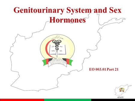 AFAMS Genitourinary System and Sex Hormones EO 003.01 Part 21.