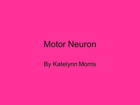 Motor Neuron By Katelynn Morris. Structures of the Motor Neuron Cell body (biosynthetic center) Nucleus Nucleolus Nissl bodies is used to localize the.