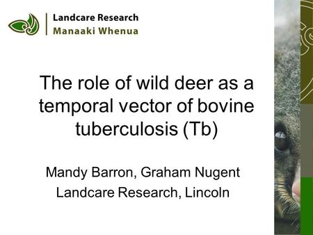 The role of wild deer as a temporal vector of bovine tuberculosis (Tb) Mandy Barron, Graham Nugent Landcare Research, Lincoln.