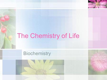 The Chemistry of Life Biochemistry. Organic Compounds Contain Carbon (C) I. Groups A. Carbohydrates B. Proteins C. Lipids D. Nucleic Acids.