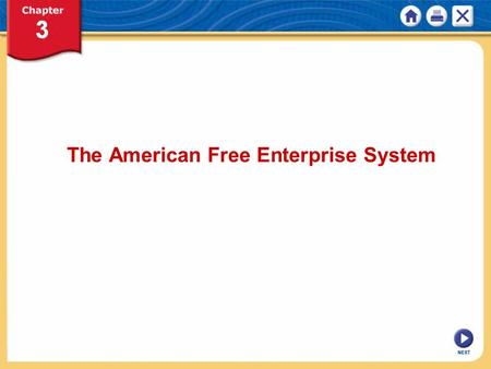 The American Free Enterprise System