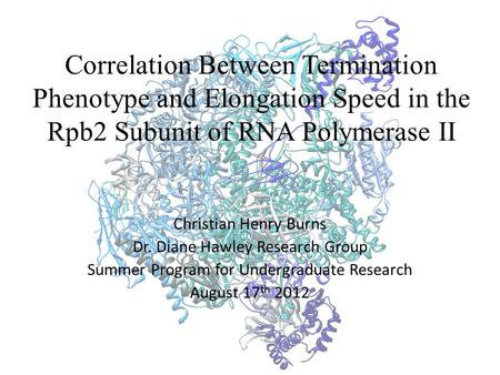 Correlation Between Termination Phenotype and Elongation Speed in the Rpb2 Subunit of RNA Polymerase II Christian Henry Burns Dr. Diane Hawley Research.