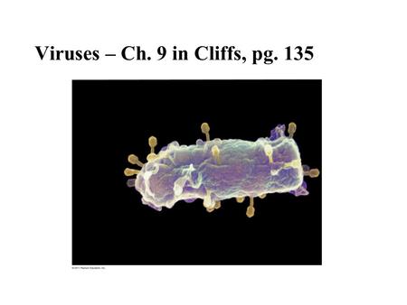 Viruses – Ch. 9 in Cliffs, pg. 135. The Discovery of Viruses Tobacco mosaic disease stunts growth of tobacco plants and gives their leaves a mosaic coloration.