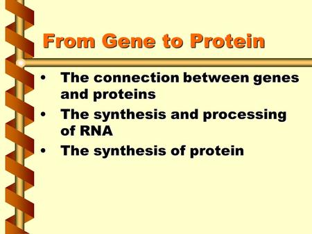 From Gene to Protein The connection between genes and proteinsThe connection between genes and proteins The synthesis and processing of RNAThe synthesis.