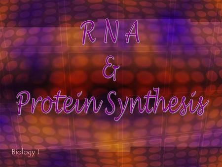 Biology I D N A DNADNA contains genes, sequences of nucleotide bases GenesThese Genes code for polypeptides (proteins) ProteinsProteins are used to build.