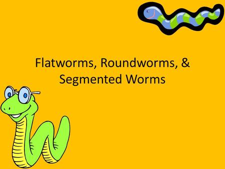 Flatworms, Roundworms, & Segmented Worms