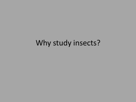 Why study insects?. Number of Species: 1.7-1.9 million described/named – estimates as high as 5-500 million ~900,000 described insects e.g., >50% of everything.