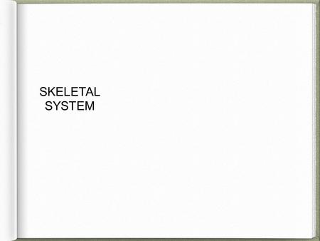 SKELETAL SYSTEM. Functions of the Skeletal System Bones are made of OSSEOUS TISSUE Support and Protection Body Movement Blood Cell Formation Storage of.