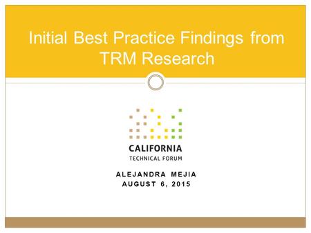 ALEJANDRA MEJIA AUGUST 6, 2015 Initial Best Practice Findings from TRM Research.