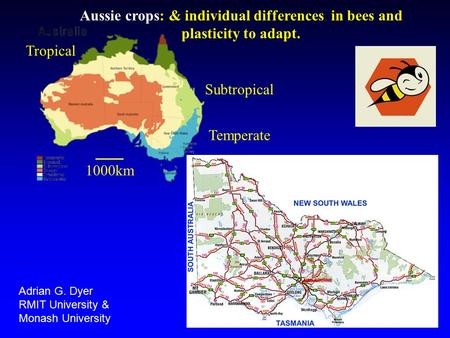 Temperate Tropical Subtropical 1000km Aussie crops: & individual differences in bees and plasticity to adapt. Adrian G. Dyer RMIT University & Monash University.