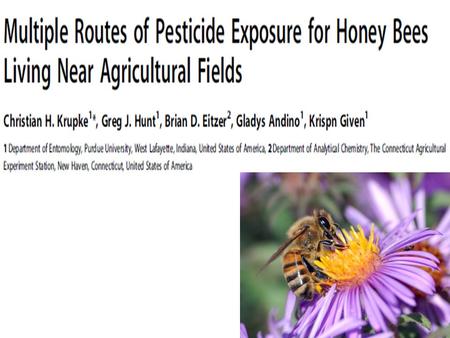 Some Crops pollinated by Bees The honeybee is nature's workhorse — and we took it for granted... We've hung our own future on a thread” Prof. E.O. Wilson.