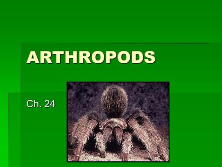 ARTHROPODS Ch. 24. General Characteristics  Segmented bodies  Jointed appendages  Hard external skeleton (exoskeleton made of chitin)