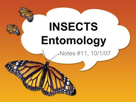 INSECTS Entomology Notes #11, 10/1/07. The Insect Body Arthropods Three Body Sections –Head (eyes, antennae) –Thorax (wings and legs) –Abdomen (internal.