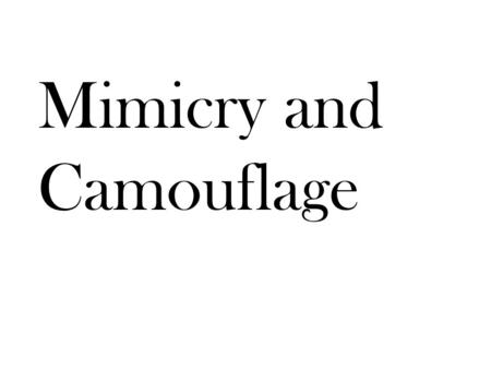 Mimicry and Camouflage. There are an enormous variety of defensive adaptations in both animals and plants. Here are a few examples from the plant world: