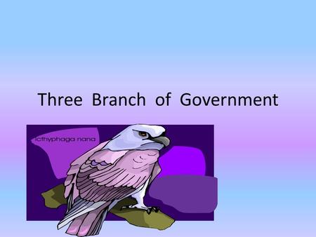 Three Branch of Government By Macee Executive Branch The Executive Branch is run by the President and Vice President. The Executive Branch is housed.