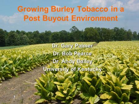 Growing Burley Tobacco in a Post Buyout Environment Dr. Gary Palmer Dr. Bob Pearce Dr. Andy Bailey University of Kentucky.