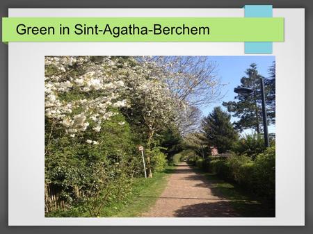 Green in Sint-Agatha-Berchem. The little gardens.