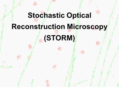 Stochastic Optical Reconstruction Microscopy (STORM)