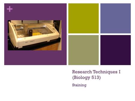 + Research Techniques I (Biology 513) Staining. + Why stain tissue? Most tissues are colorless and unless one uses diffraction interference contrast microscopy,