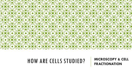 MICROSCOPY & CELL FRACTIONATION