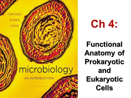 Functional Anatomy of Prokaryotic and Eukaryotic Cells