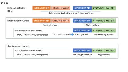 Gel/Glc Heat 24hCTS/Gel GTA 48h Gelatin GTA 48h CTS/Gel/Glc Heat 24h Severe Imflam Slight Imflam Rat subcutaneous test Combination use with FGF2 FGF2 (Fibrast.