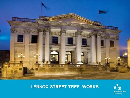 LENNOX STREET TREE WORKS. Tree Species - Norway Maple Acer platanoides –This is a fast growing tree of large size with good autumn foliage. –However they.