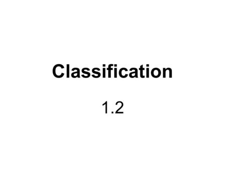 Classification 1.2. How do you say “dog” in Chinese? - gǒu gǒu How about in spanish? -perro What about French? -mohoko Does anyone see where this could.