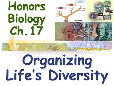 Organizing Life’s Diversity