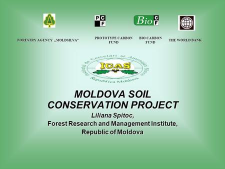 FORESTRY AGENCY „MOLDSILVA” PROTOTYPE CARBON FUND THE WORLD BANK THE WORLD BANK MOLDOVA SOIL CONSERVATION PROJECT Liliana Spitoc, Forest Research and.