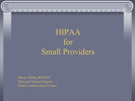 1 HIPAA for Small Providers Sherry Shults, RN BSN Director Clinical Support South Carolina Heart Center.