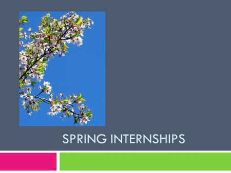 SPRING INTERNSHIPS. Internship Requirements  Community Health:  Must complete 240 hours Approx 24 hrs/wk  Exercise Science:  Must complete 120 hours.