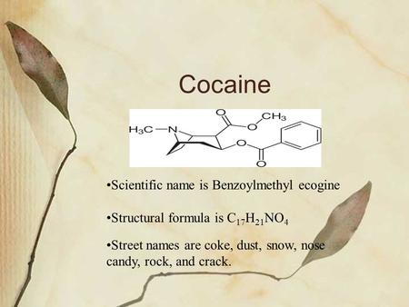 Cocaine Scientific name is Benzoylmethyl ecogine